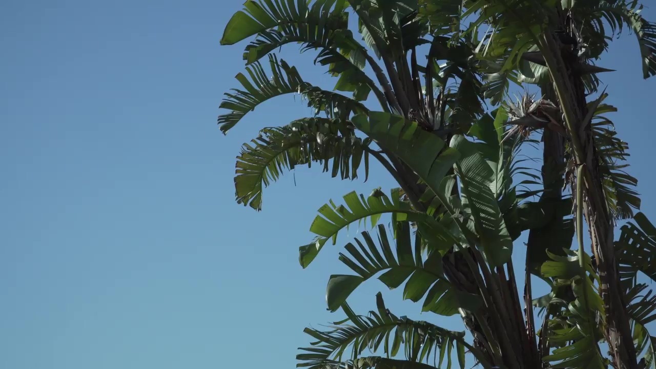 Villa Caspar Mallorca